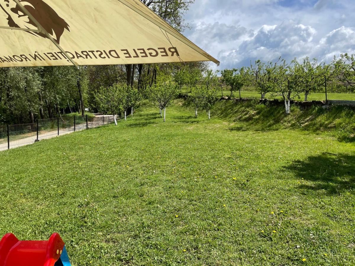 Pensiunea Prestige House Curtea De Arges Luaran gambar